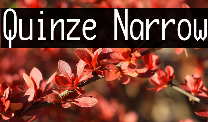 Quinze Narrow Example 2