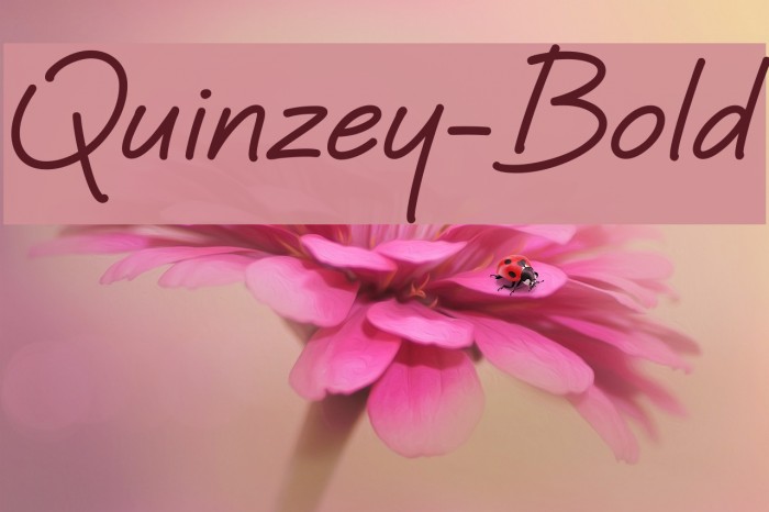 Quinzey-Bold Font examples
