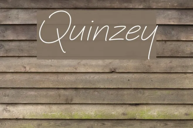 Quinzey Example 1