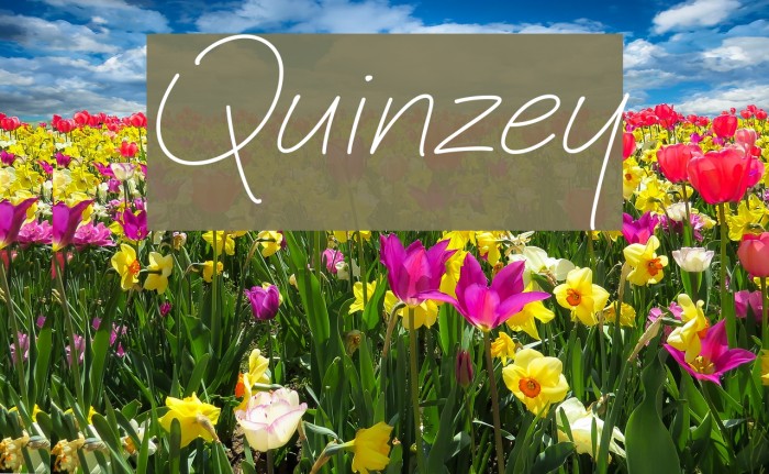 Quinzey Font examples