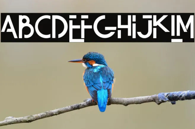 Quiqt Example 1