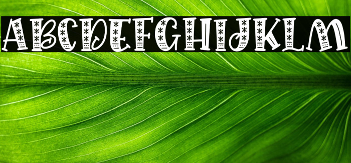 Quirkid Hollow Example 3