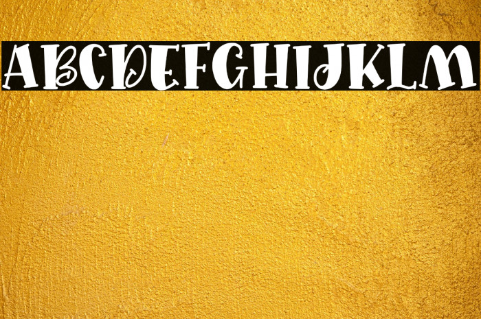 Quirkid Solid Example 2