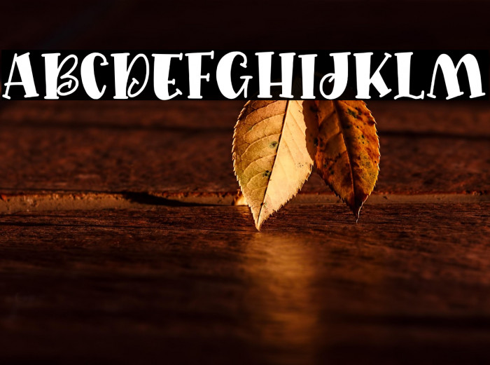 Quirkid Solid Example 3