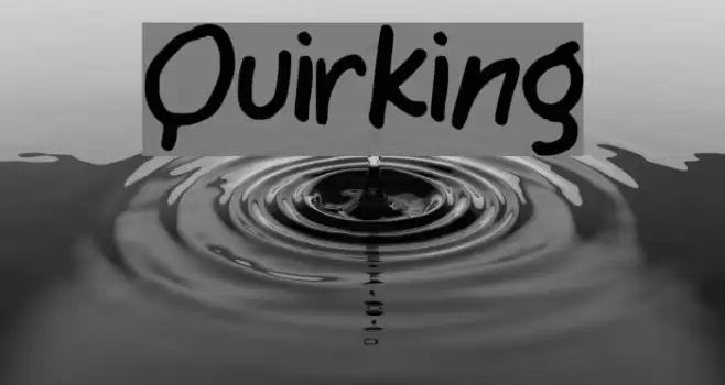 Quirking Polices examples