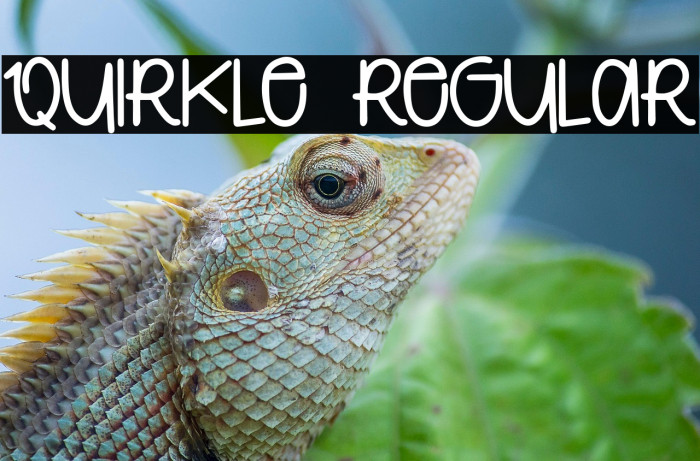 Quirkle Regular Example 3