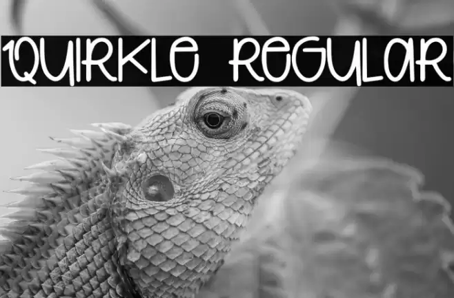 Quirkle Regular Font examples