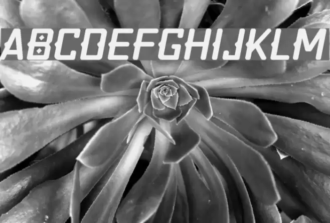 Quirko-Oblique Шрифта examples