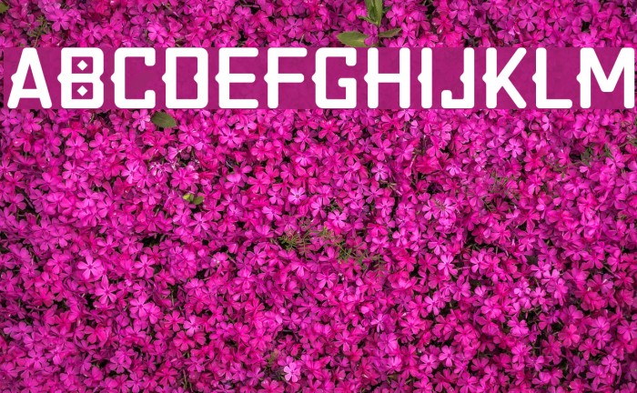 Quirko Font examples