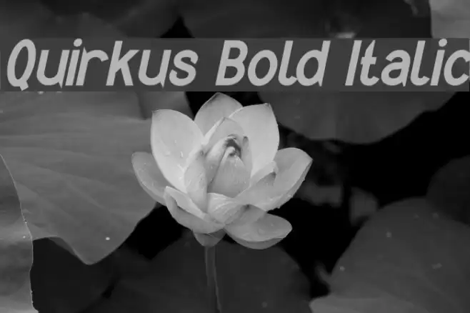 Quirkus Bold Italic خط examples
