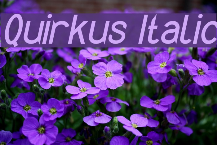 Quirkus Italic Font examples