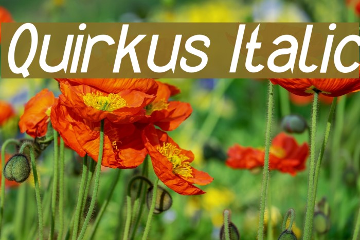 Quirkus Italic Font examples