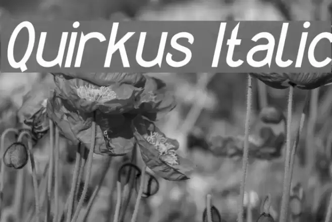 Quirkus Italic Fuentes examples