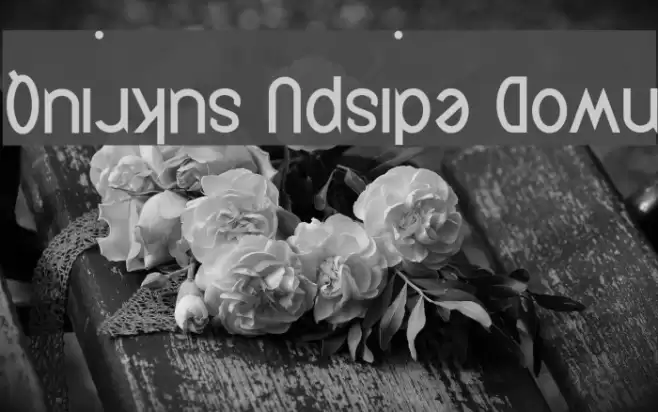 Quirkus Upside Down Font examples