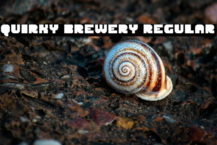 Quirky Brewery Regular Example 2
