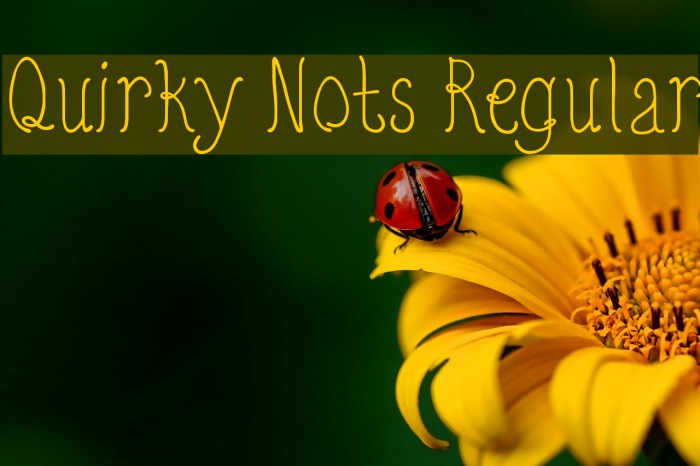 Quirky Nots Regular Example 1