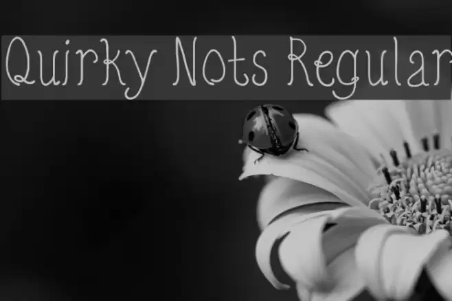 Quirky Nots Regular Font examples