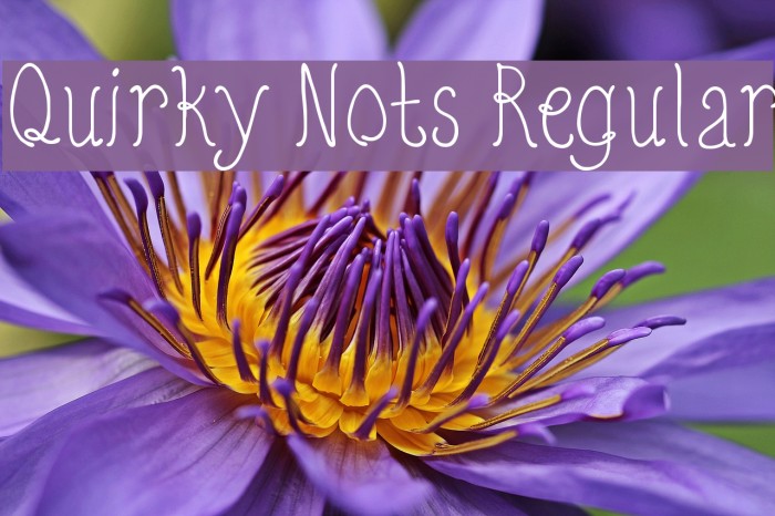 Quirky Nots Regular Example 3