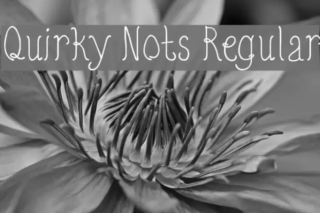 Quirky Nots Regular Font examples