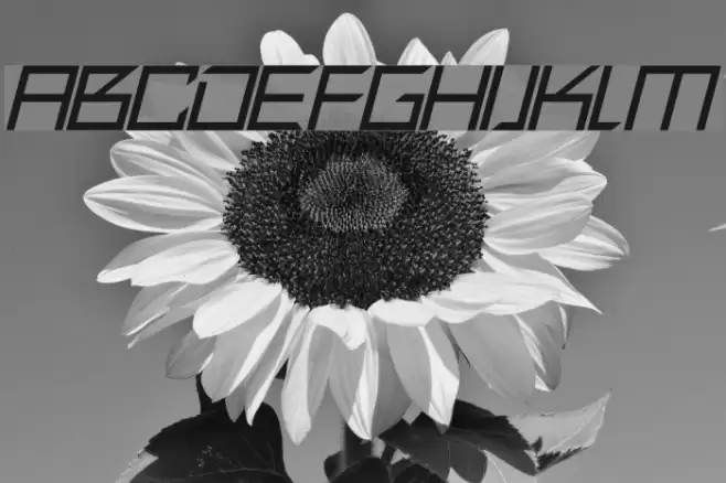 Quirky Robot Italic फ़ॉन्ट examples