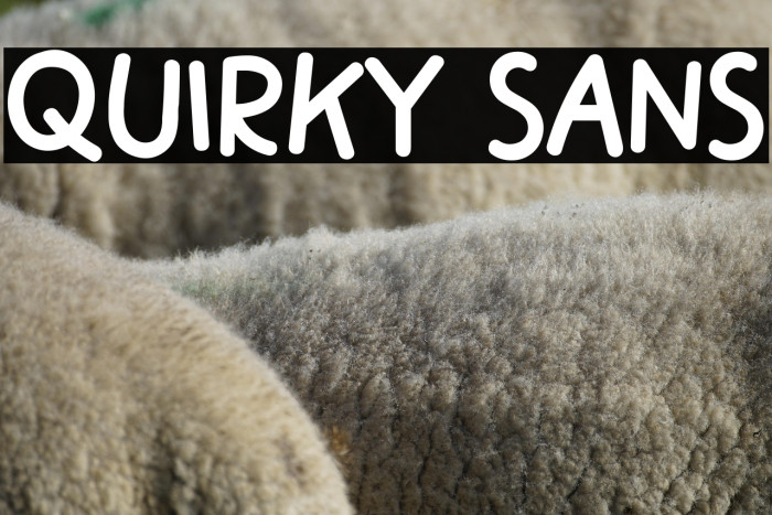 Quirky Sans Example 1