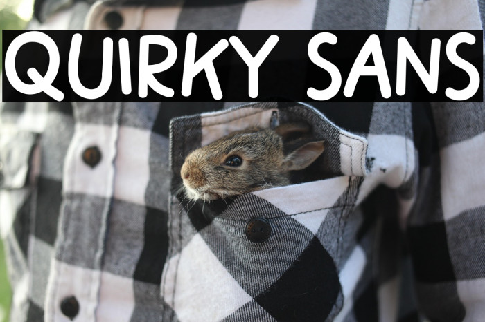 Quirky Sans Example 2