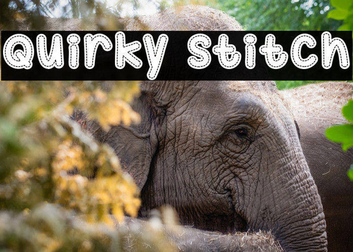 Quirky Stitch Example 1