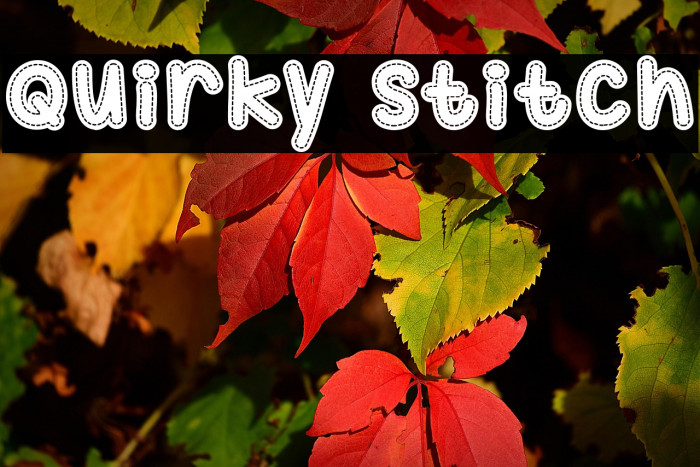 Quirky Stitch Example 3