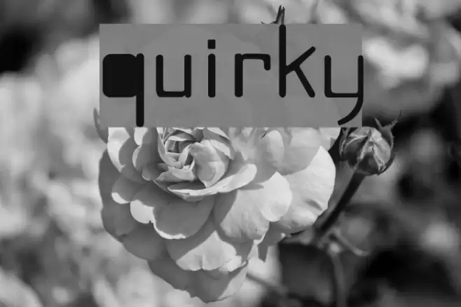 Quirky Caratteri examples
