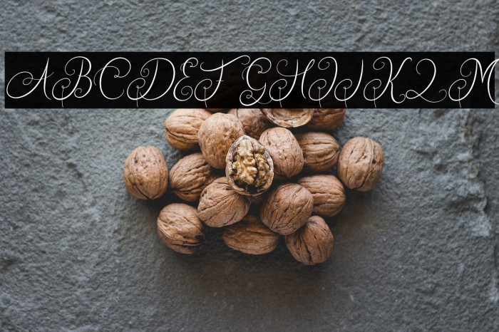 QuirttyFREE Example 2