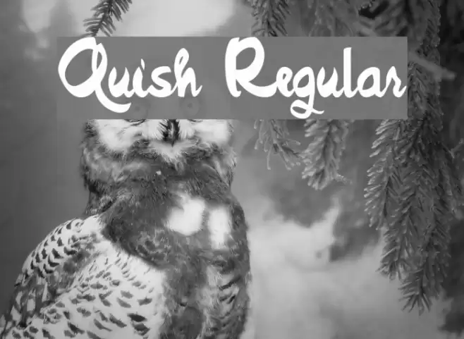 Quish Regular Font examples