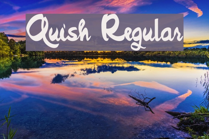 Quish Regular Font examples