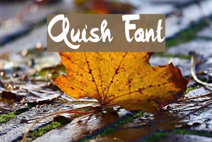 Quish Font examples