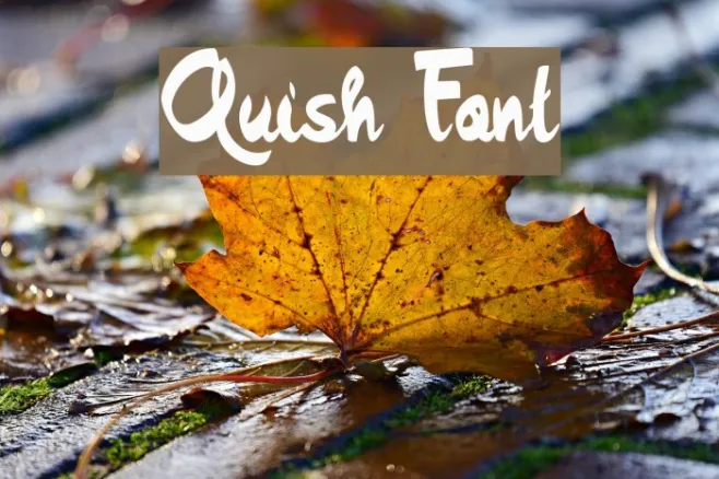 Quish Example 1