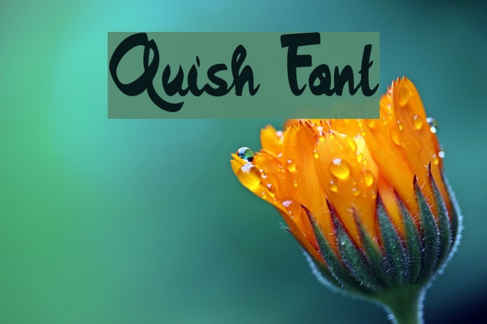 Quish Font examples