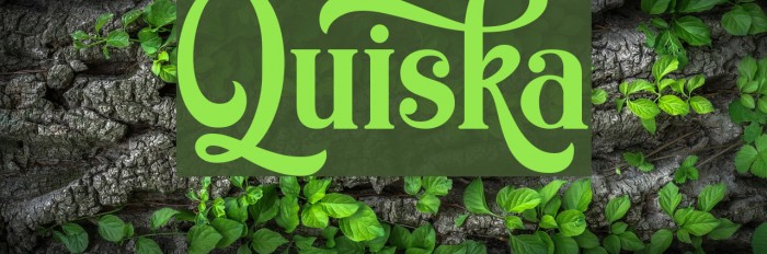 Quiska Font examples