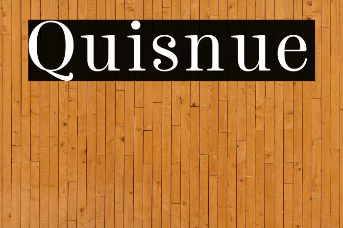 Quisnue Example 1