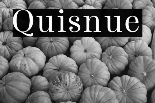 Quisnue Font examples