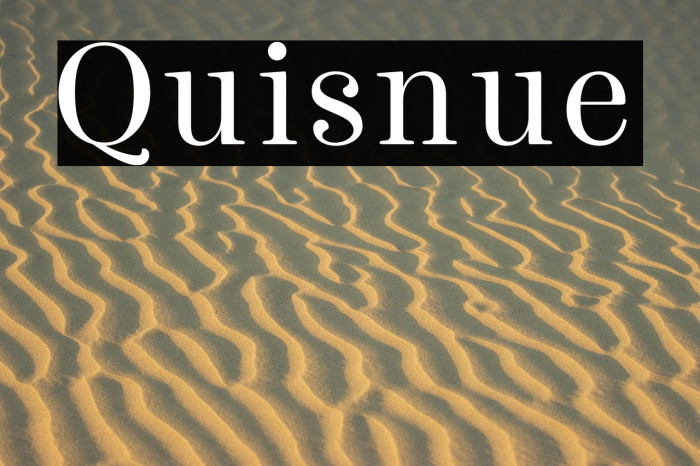 Quisnue Example 3