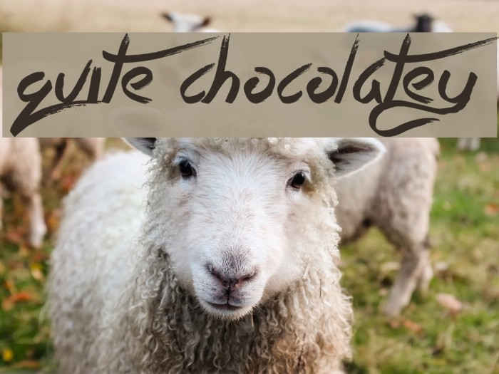 Quite Chocolatey Font examples