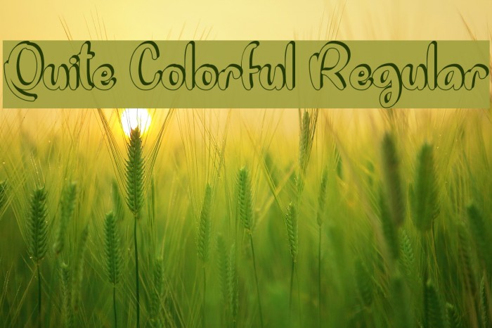 Quite Colorful Regular Example 3