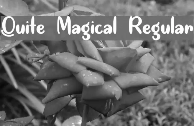 Quite Magical Regular Caratteri examples