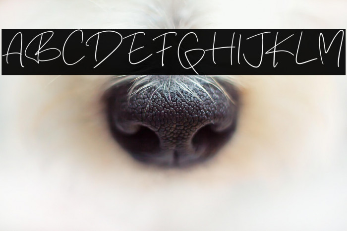 Quite Rambling Example 1