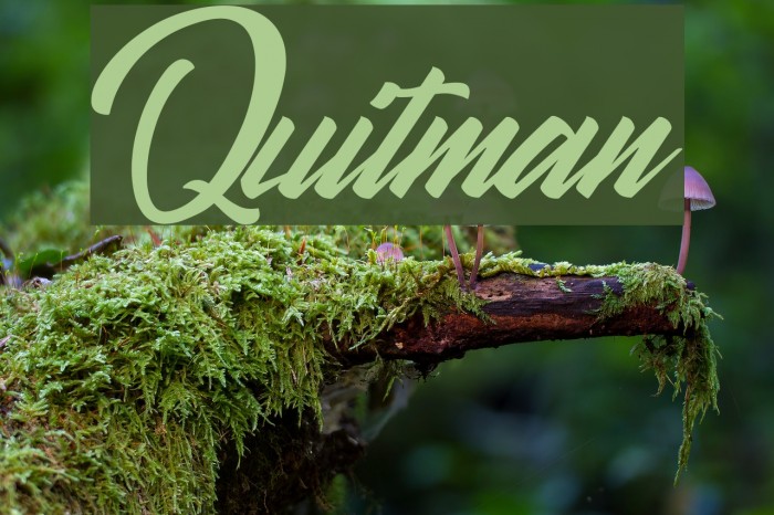 Quitman Font examples
