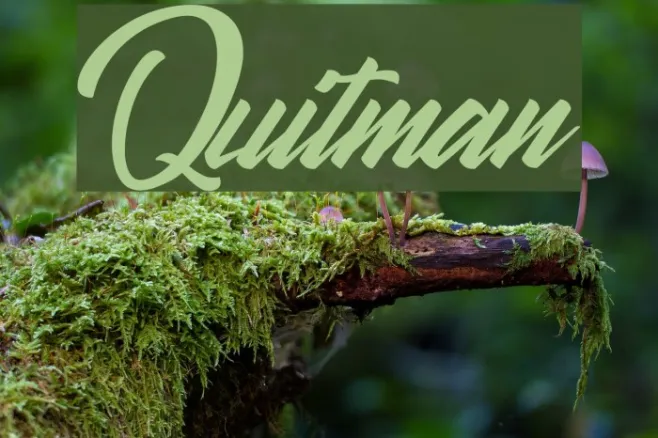 Quitman Example 1