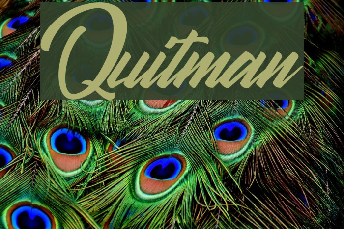 Quitman Font examples