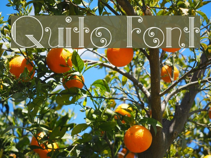 Quito Font examples