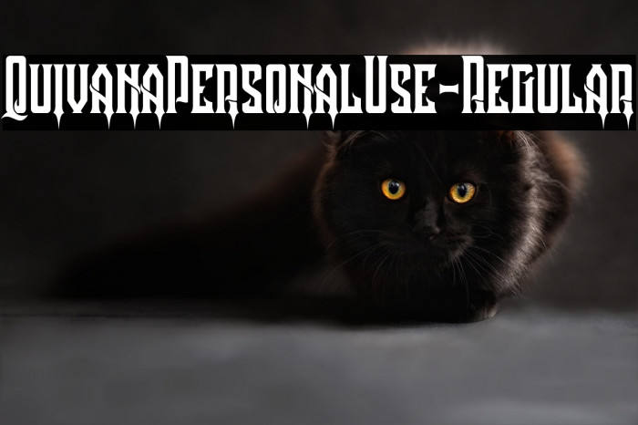 QuivanaPersonalUse-Regular Example 3