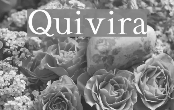 Quivira Font examples