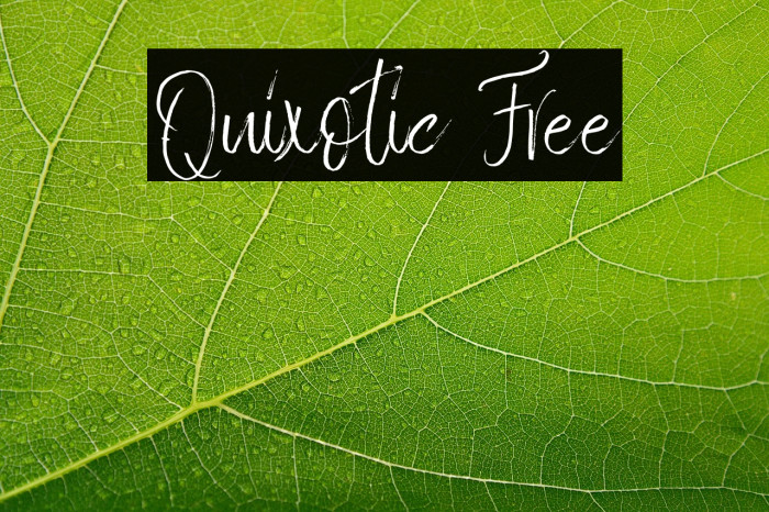 Quixotic Free Example 2